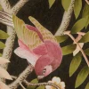 Liberty Interiors Wallpaper^Silk Tree in Red Lac