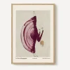 PSTR Studio Wall Art^Sissan Richardt La Lie en Bourgogne Framed Print