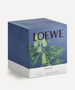 Loewe Candles & Candle Holders^Small Ivy Candle 170g