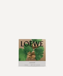Loewe Candles & Candle Holders^Small Roasted Hazelnut Candle 170g