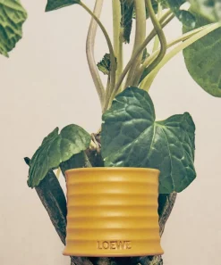 Loewe Candles & Candle Holders|Living Room^Small Wasabi Candle 170g
