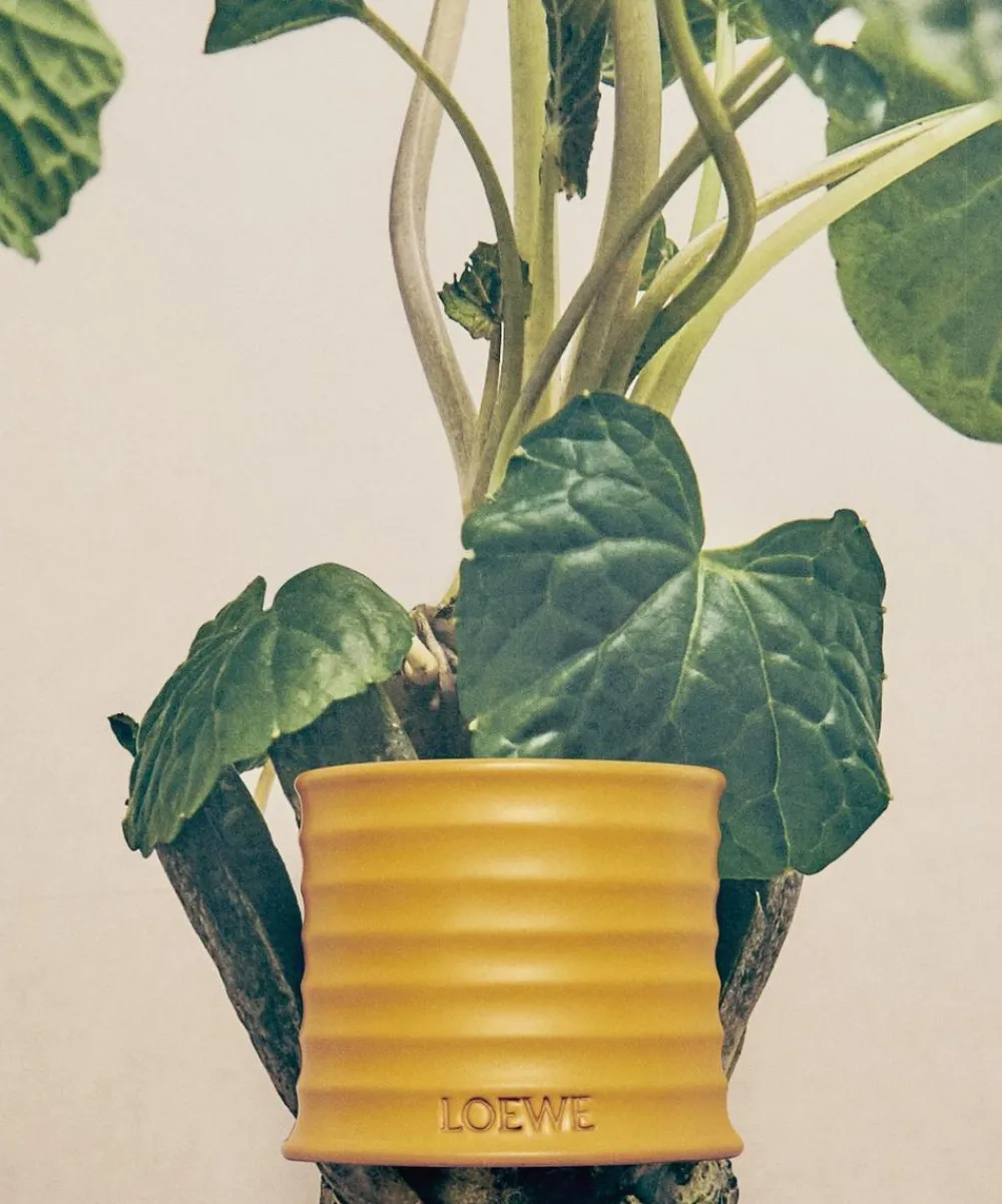 Loewe Candles & Candle Holders|Living Room^Small Wasabi Candle 170g