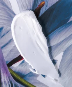 Sisley Paris Moisturisers^Soin Velours Velvet Nourishing Cream with Saffron Flowers 50ml