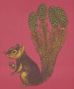 Avenida Home Tableware^Squirrel Table Mat
