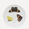 Astier de Villatte Tableware^Three Butterflies Plate