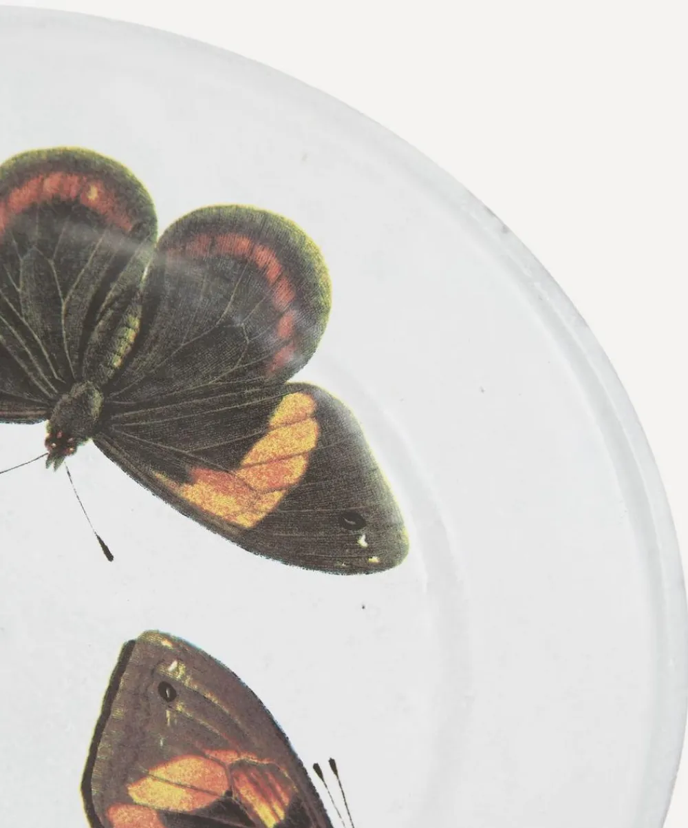 Astier de Villatte Tableware^Three Butterflies Plate