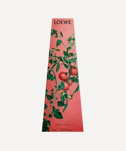 Loewe Candles & Candle Holders^Tomato Leaves-Scented Chandelier Candle