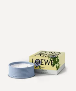 Loewe Candles & Candle Holders^Verbena Outdoor Candle 950g