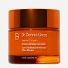 Dr. Dennis Gross Skincare Skin Concern|Moisturisers^Vitamin C Lactic Dewy Deep Cream 60ml