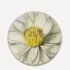 John Derian Stationery And Games^Water Lily Paperweight