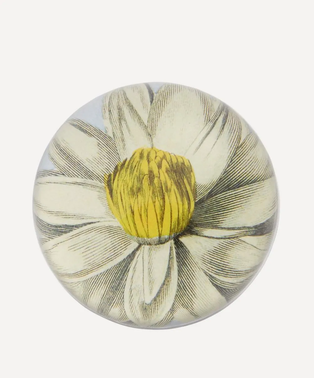 John Derian Stationery And Games^Water Lily Paperweight