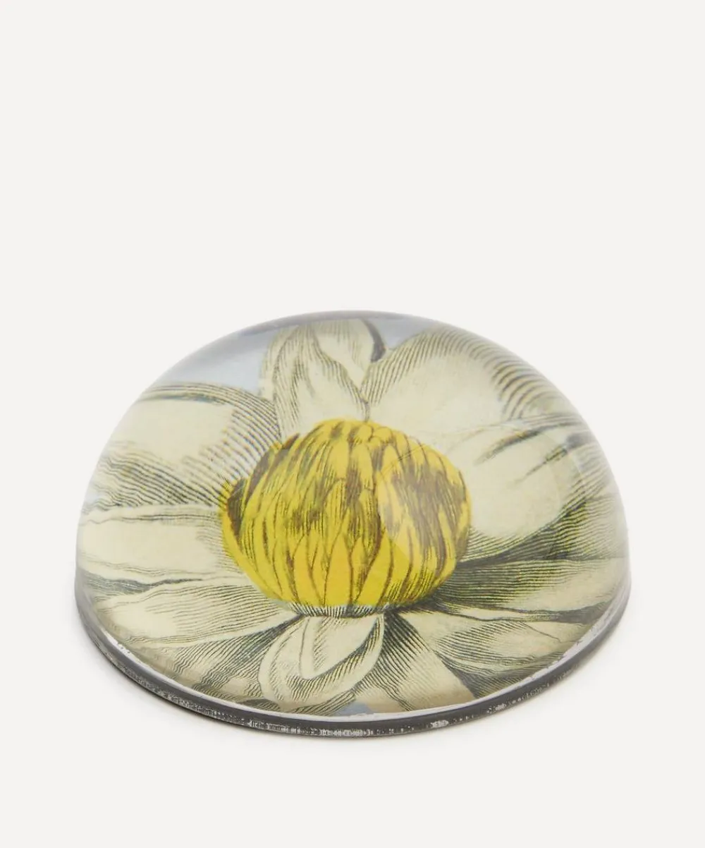 John Derian Stationery And Games^Water Lily Paperweight