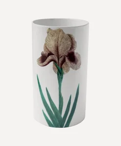 Astier de Villatte Vases^Yellow Iris Vase